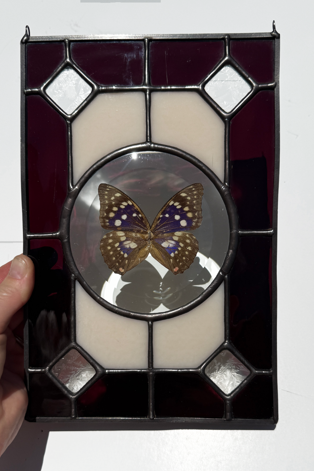 Butterfly Bevel Stained Glass Suncatcher