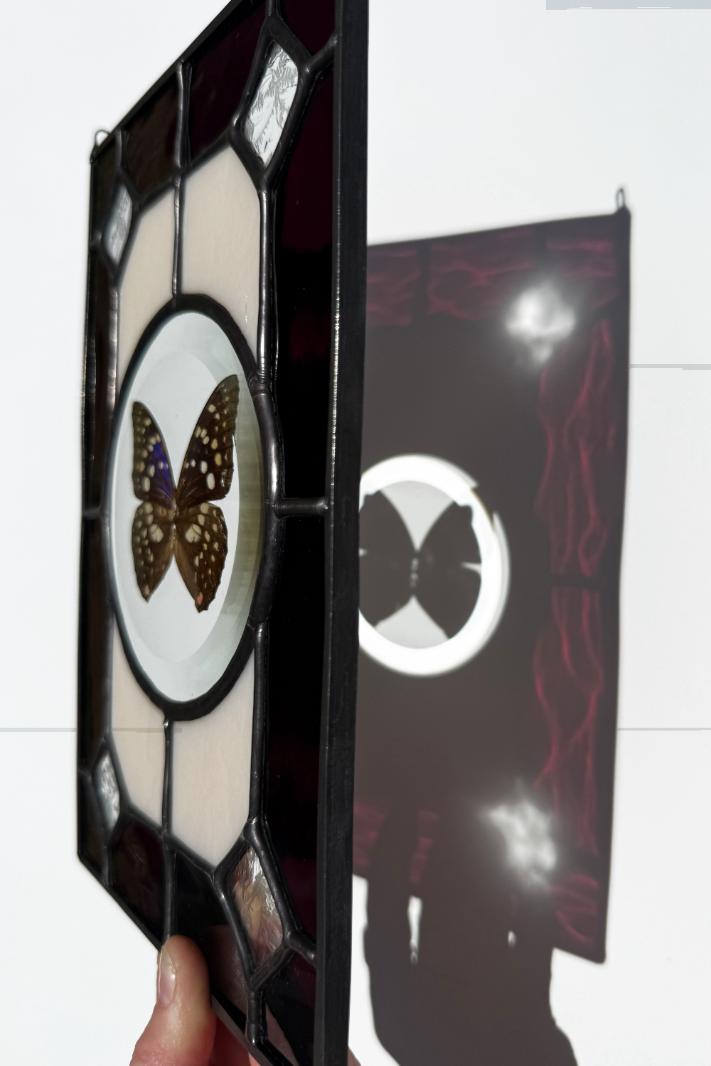 Butterfly Bevel Stained Glass Suncatcher