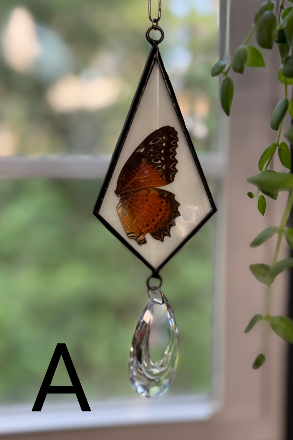 Butterfly Bevel Rainbow Maker