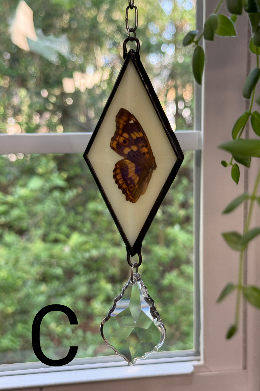 Butterfly Bevel Rainbow Maker